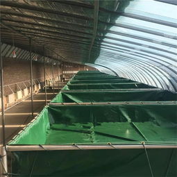 防漏水篷布魚(yú)池 pvc帆布水池圖片可移動(dòng)帆布魚(yú)池綠色儲(chǔ)水池廠家